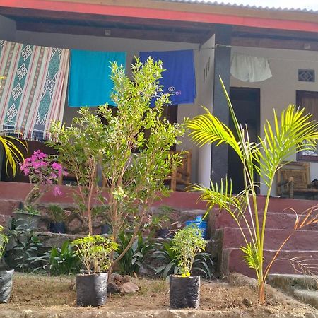 Palm Homestay Kuta Kuta (Lombok) Exterior foto